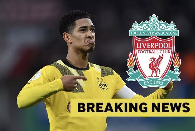 拿下单打冠军18天后，樊振东再次传来喜讯，月底或再战国乒总决赛（时隔18天再迎喜讯，樊振东月底或重返国乒总决赛赛场）